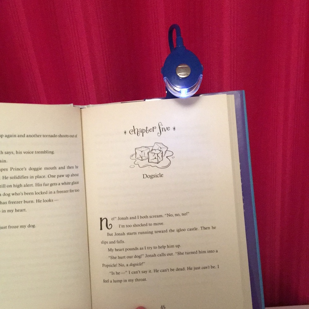 Book light